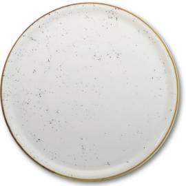 Stains pizza plate